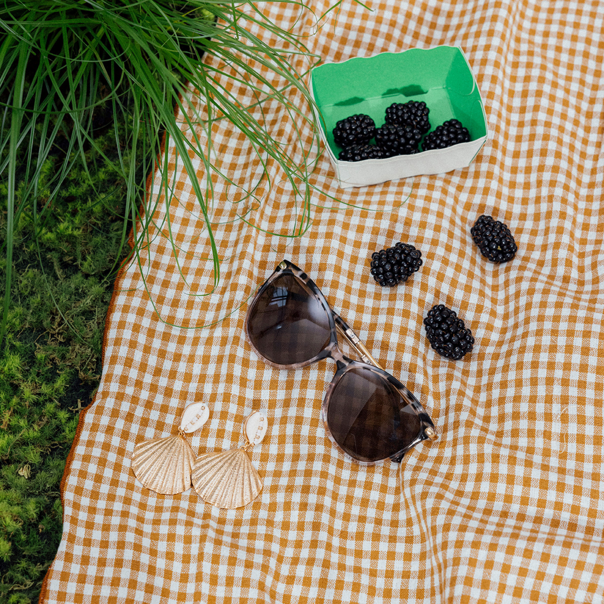 Lunette papillon branches bambou