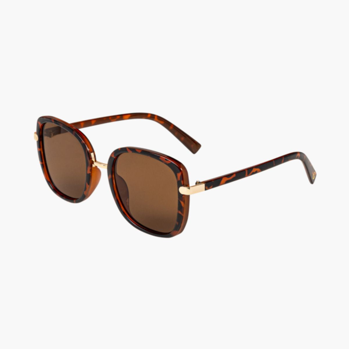 Lunettes Grande carrées Best
