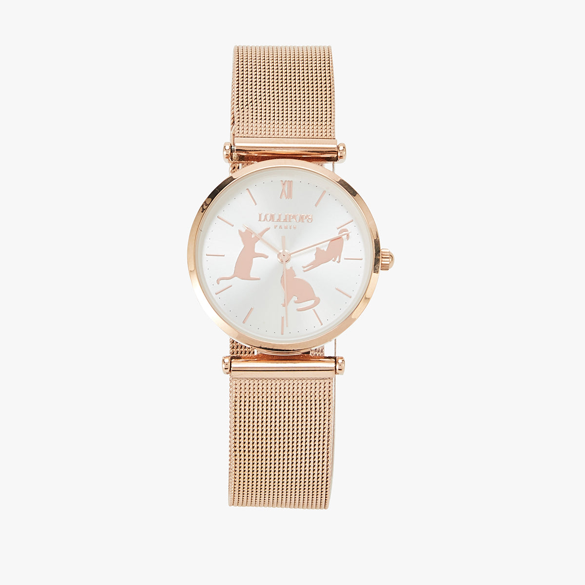Montre chats Jay