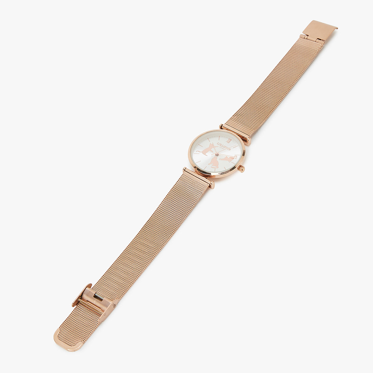 Montre chats Jay