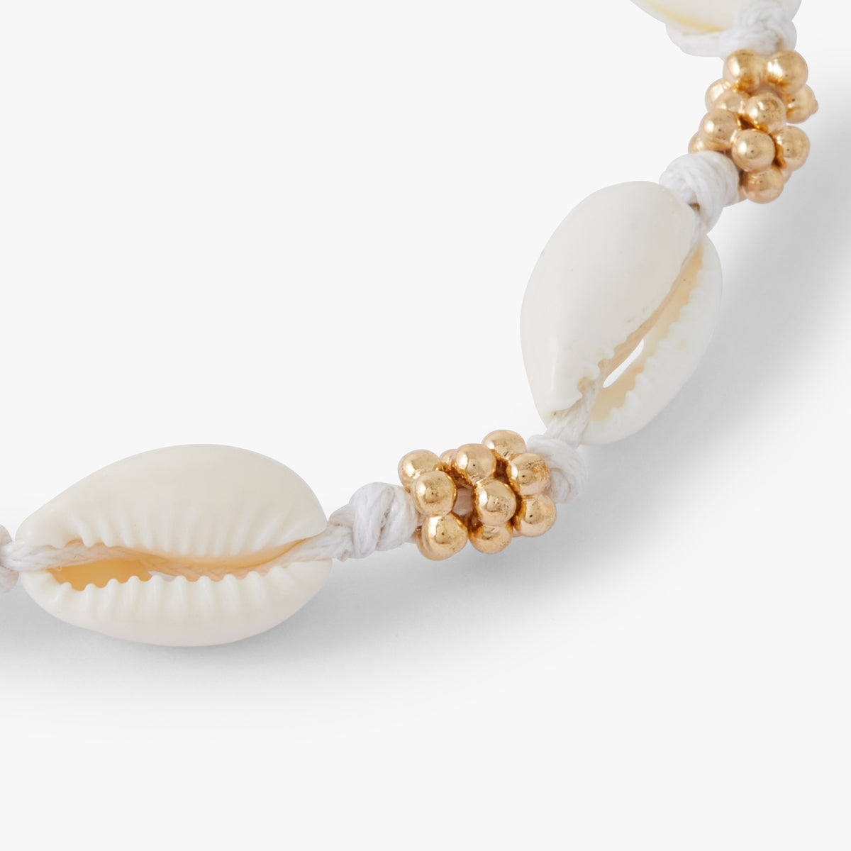 Chaîne de cheville coquillages