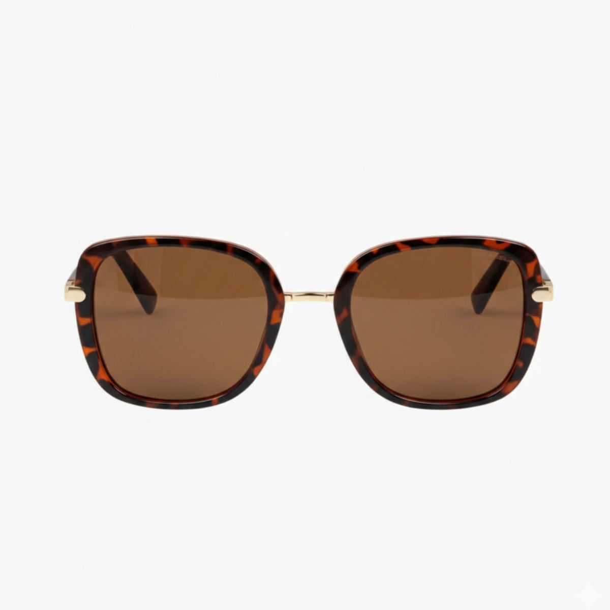 Lunettes Grande carrées Best